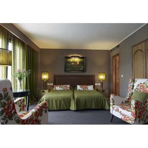 Hotel Du Lac Congress & Spa